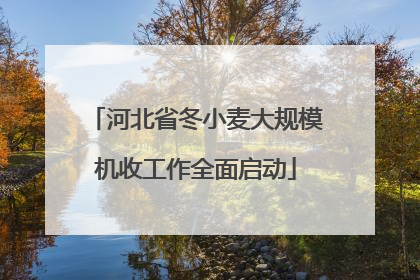 河北省冬小麦大规模机收工作全面启动